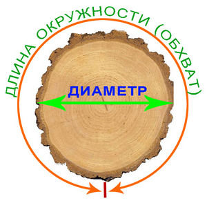 диаметр дерева