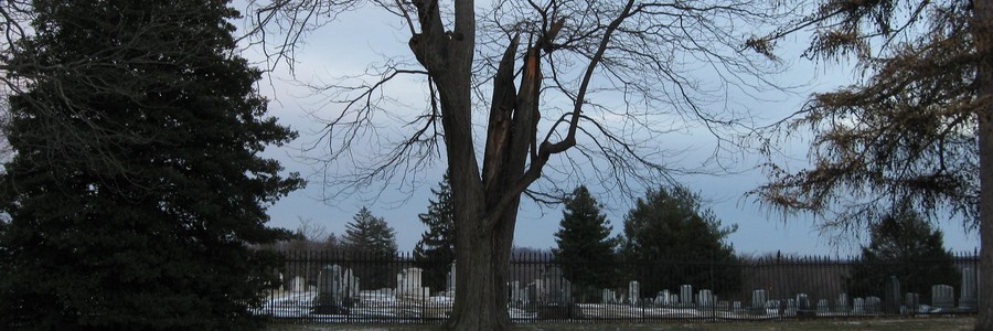 Спилить дерево на кладбище